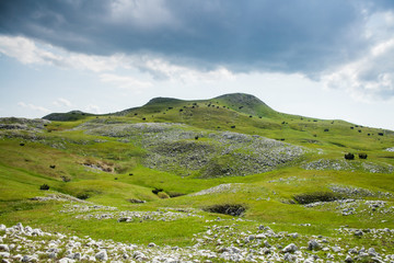 Fototapeta premium Mountain landscape