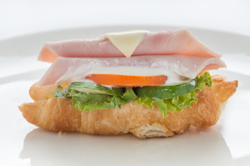 Ham and cheese croissant  sandwich on white plate
