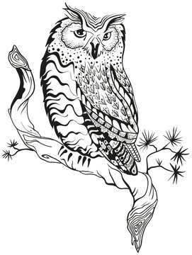 Owl sits on tree branch. Graphic design