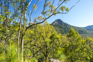 Spicers Gap Lookout overlooking the mountains in the Scenic Rim, Queensland during the day