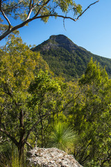 Spicers Gap Lookout overlooking the mountains in the Scenic Rim, Queensland during the day