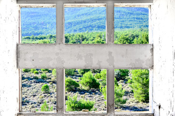 Fototapeta premium abandoned window forest view