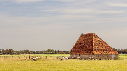 Sheep barn on the waden sialnd Texel in the Netherlands