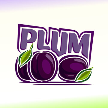 Vector illustration on the theme of plum
