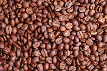 roasted coffee beans background