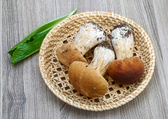 Wild Mushrooms