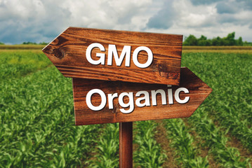 Gmo or Organic Farming Direction Sign - obrazy, fototapety, plakaty
