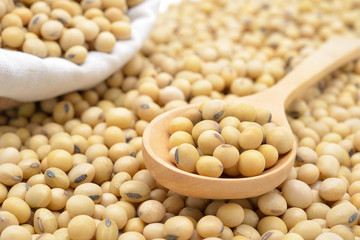 Soy beans focus on wooden spoon