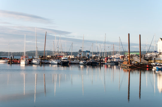 Yachts in marina at dawn. Carrickfergus, Northern Ireland