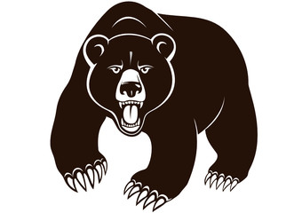 Wild bear illustration.