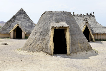 Houses from the stone age