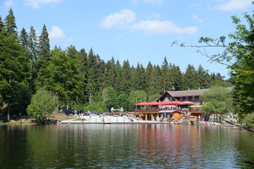 Fototapeta na wymiar GRoßer Arbersee