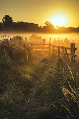 Prachtig zonsopganglandschap over mistig Engels platteland met g