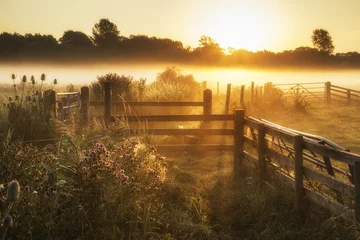 Kussenhoes Overweldigend zonsopganglandschap over mistig Engels platteland met g © veneratio