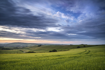 Fototapeta premium Beautiful Summer sunset landscape Steyning Bowl on South Downs