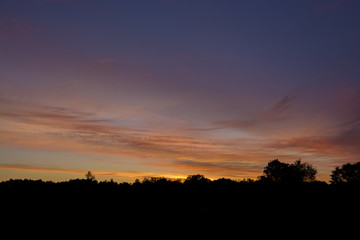 Splash of colors at dawn. 