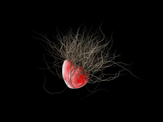 Brown's roots grew out of a red heart, in a black background.