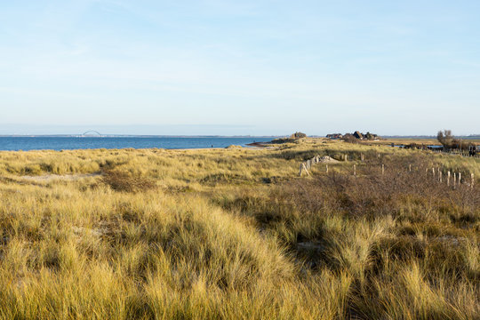 D&uuml;nenlandschaft auf dem Graswader in Heiligenhafen an der Ostsee, Deutschland