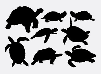 Turtle and tortoise animal silhouettes