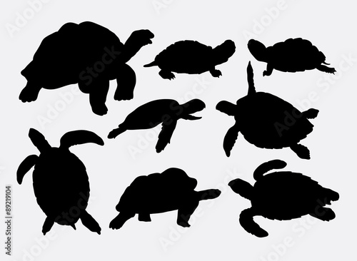Scratch Picture Turtle Water Turtle Animal Motif Scratch images 103