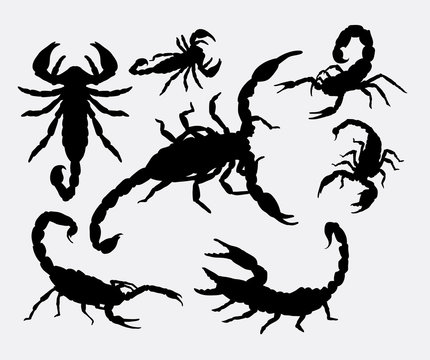 Scorpion animal silhouettes