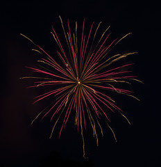 Pink and gold fireworks long exposure. 