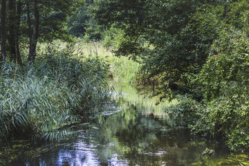  River Black Hancza. Suwalsczyzna. Poland