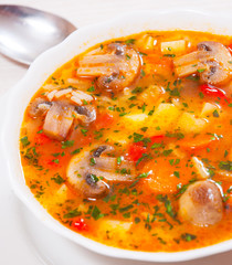 mushroom soup with rice and vegetables