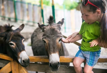 Deurstickers Ezel Kleine jongen en burro in dierentuin