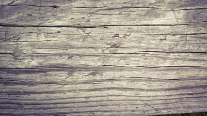 Fototapeta premium fond bois 16082015