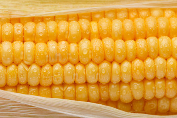 Corncob in water drops