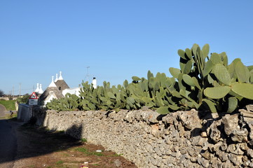 Trulli in Alberobello, Apulien