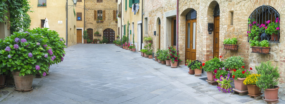 Fototapeta flowers on alone street in Tuscany in Italy
