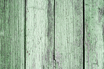 Green peeling paint wooden surface.