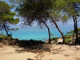 Obraz premium Beautiful sea view from the coast. Photo was taken from forest,near sand beach with deep blue sea.
