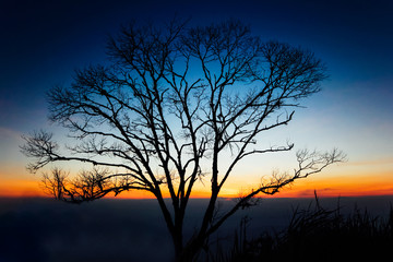 Fototapeta na wymiar Sun set behind the silhouette tree in a rural of Thailand