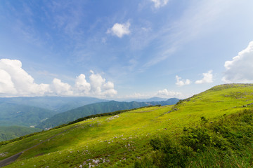 Fototapeta premium 愛媛県 四国カルスト 五段高原の風景