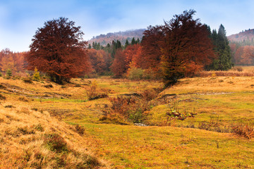 Fototapeta na wymiar Landscape of mountain autumn with colorful and mist forest.