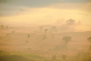 Natural sceneof sun rise with unclear foggy on mountain area intheNorthern of Thailad
