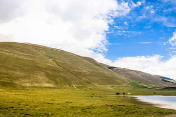 Wild mountain landscape