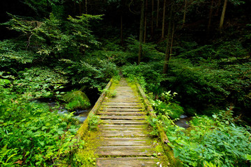 Obraz premium 東京檜原村の大滝の遊歩道