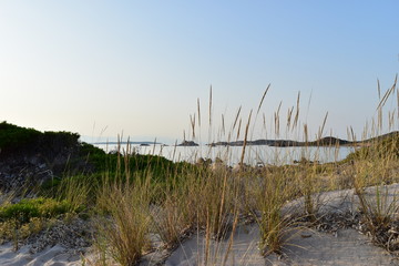 bassa trinita sardegna