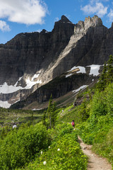  view of Going to the sun road