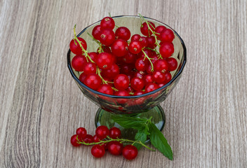 Red currant