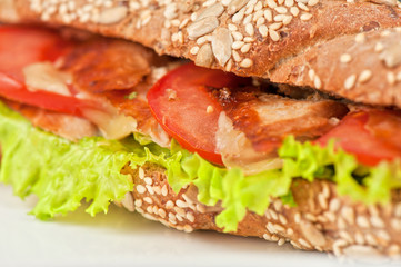 Big sandwich 