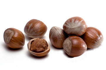 Haselnuesse_freigestellt02