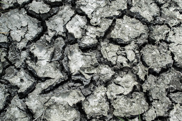 Cracked earth on a hot day.