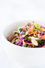 Fresh coleslaw salad for summer