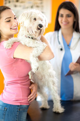 Happy girl and Maltese dog in vet clinic