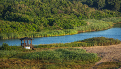 Beautiful river bed in the summer season